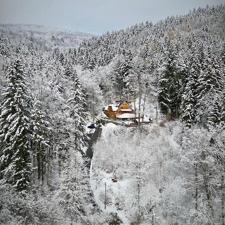 Pensjonat Alpejski Dwor Miedzygorze Ngoại thất bức ảnh