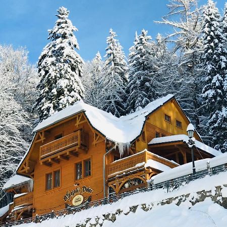 Pensjonat Alpejski Dwor Miedzygorze Ngoại thất bức ảnh