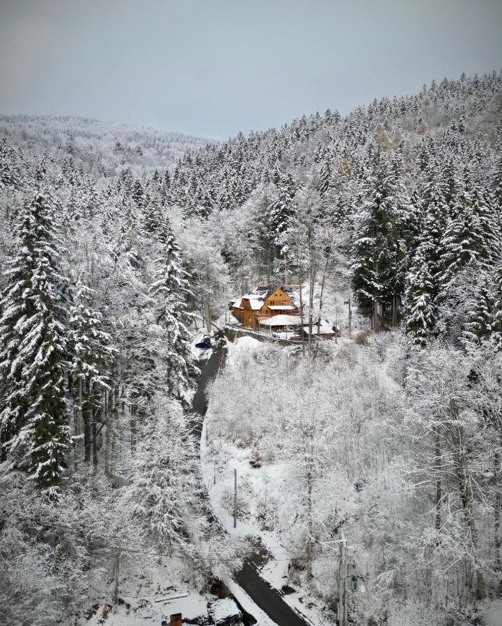 Pensjonat Alpejski Dwor Miedzygorze Ngoại thất bức ảnh