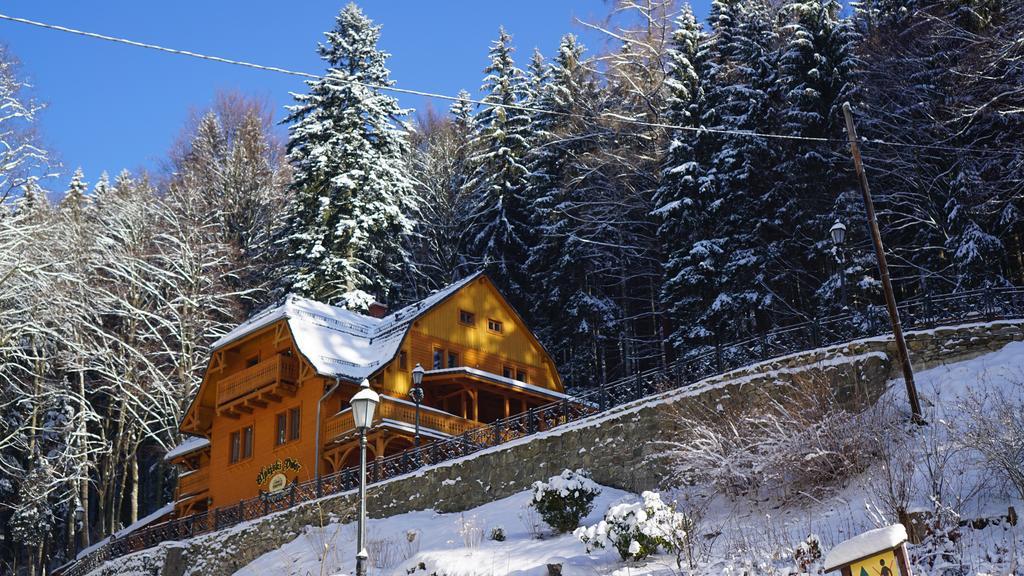 Pensjonat Alpejski Dwor Miedzygorze Ngoại thất bức ảnh