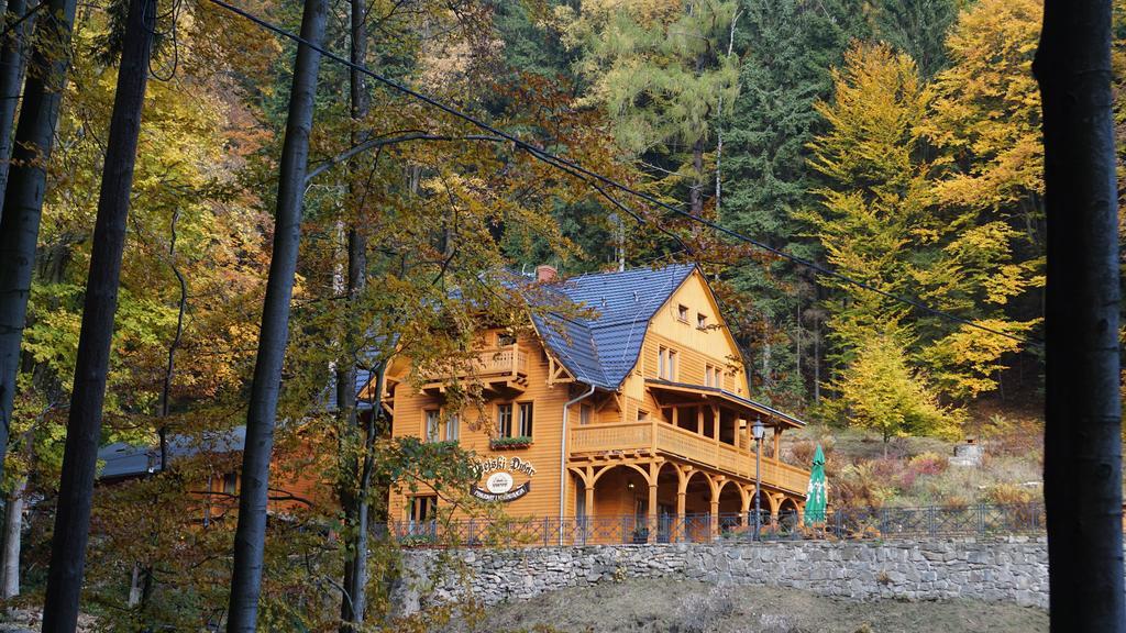 Pensjonat Alpejski Dwor Miedzygorze Ngoại thất bức ảnh