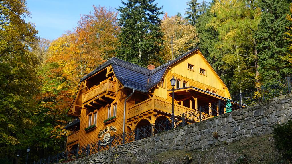 Pensjonat Alpejski Dwor Miedzygorze Ngoại thất bức ảnh